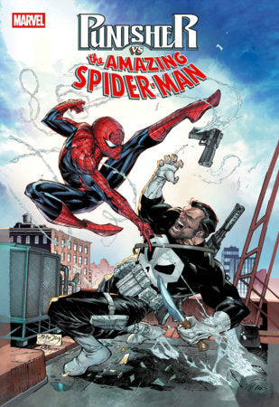 PUNISHER VS SPIDER-MAN #1 1:25 by NETHO DIAZ